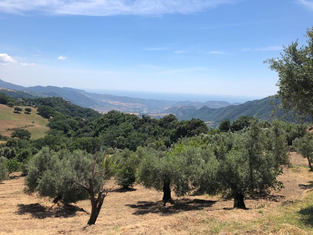 Il Giardino Degli Aranci Aparthotel Antonimina Εξωτερικό φωτογραφία